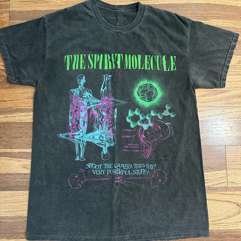 PacSun Black The Spirit Molecule Graphic T-Shirt, Distressed Fading, Medium‎